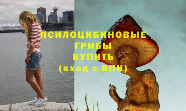 синтетический гашиш Нефтекумск