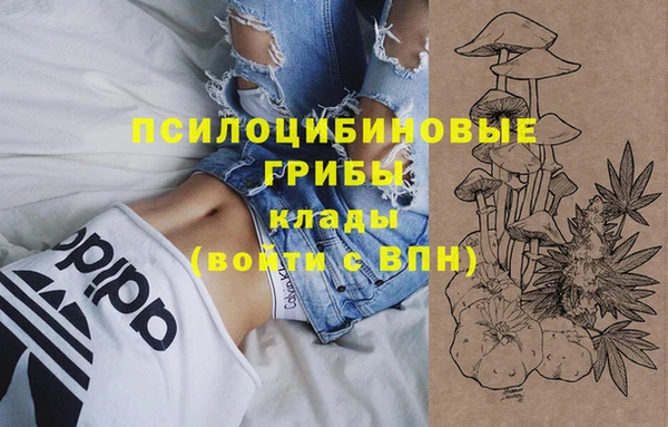 синтетический гашиш Нефтекумск